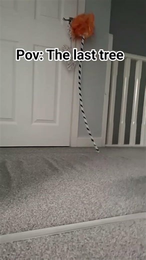 #the lorax flim the last tree