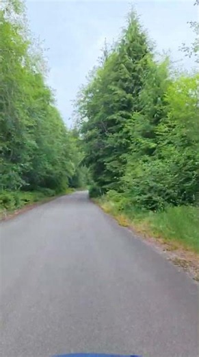 Narrow Roads & Epic Views – Olympic National Park Roofie Adventure 🏔️ | Encounters USA