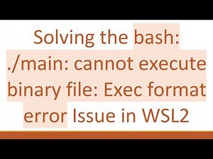 Solving the bash: ./main: cannot execute binary file: Exec format error Issue in WSL2