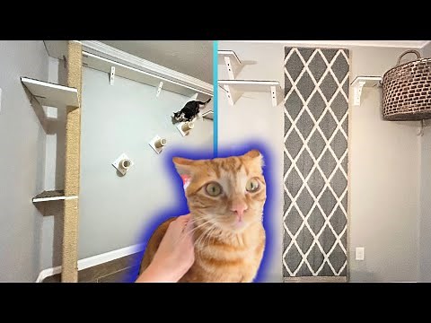 DIY Cat Carpet Wall, Swinging Bridge & Eight Foot Scratch Post!