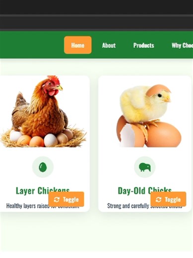 Aopanji Chicken Farm_Web Desgn. #malawitiktok🇲🇼 #graphicdesign #webdevelopment #fypシ゚viral NB: logos, videos and images are for the sake of sample_design