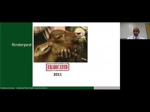 Overview of Peste des Petits Ruminants (PPR) and Rinderpest (RP)