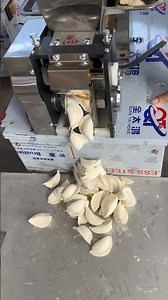 Russian dumpling machine, automatic dumpling machine manufacturer