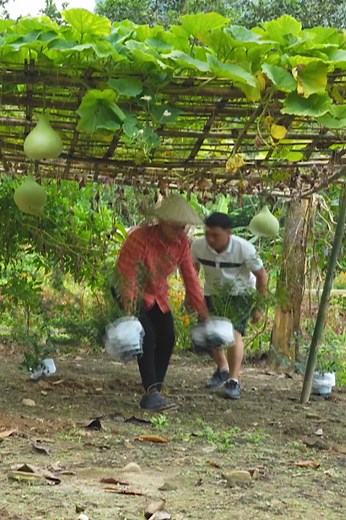 203K views · 3.8K reactions | P1 The couple enjoys installing the new kitchen floor together after the husband gives the wife a kitchen floor mat | Chea Ta Sat | Facebook