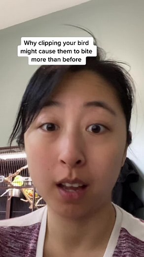 Understanding Budgie Biting Behavior: Tips to Prevent Aggression