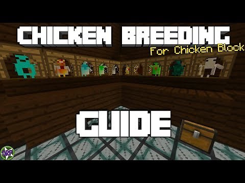 Minecraft: Chicken Breeding Guide For ChickenBlock Bedrock Edition Map