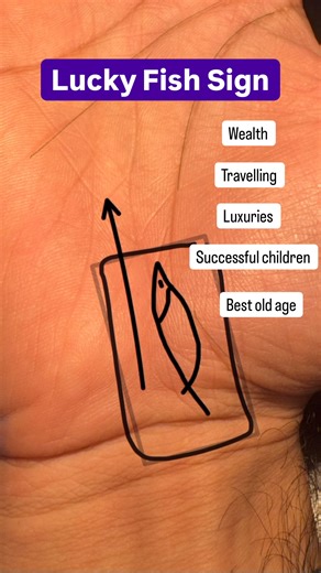 Lucky fish on life line prediction | Asad Raza -AR Palmistry Numerology