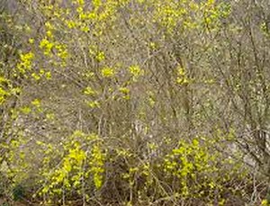 Making Weekend Plans? Here's the Latest Weather Forecast for Croton and Ossining