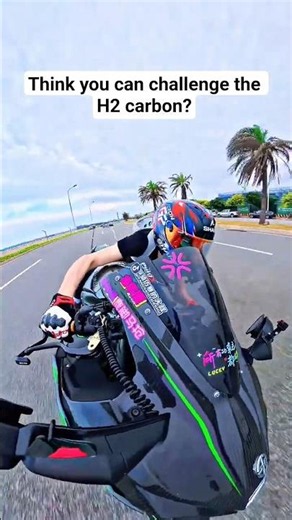 Don't Challenge the Kawasaki H2 Carbon!