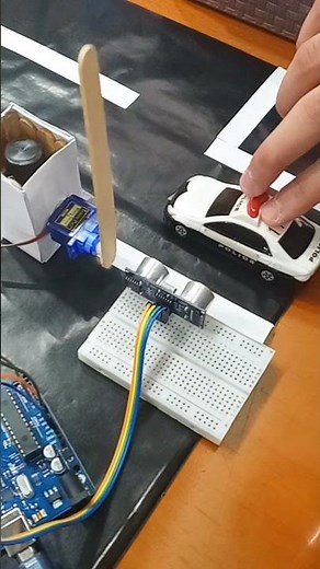 ARDUINO Parking Door Cross