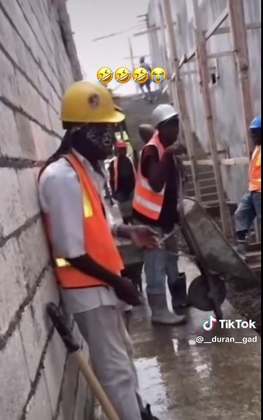 Bawda Cat Comedy: Hilarious Jamaican Cat Videos