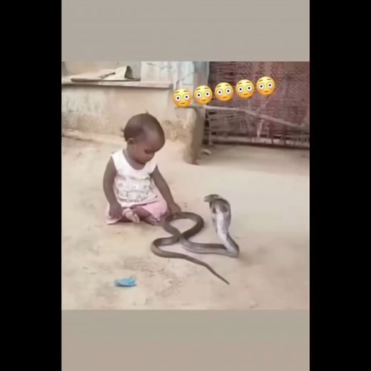 Is there a hidden mystery why snakes don’t bite babies ??? Because... 😳🐣🤷🏽‍♀️ #baby | Young Chybyke