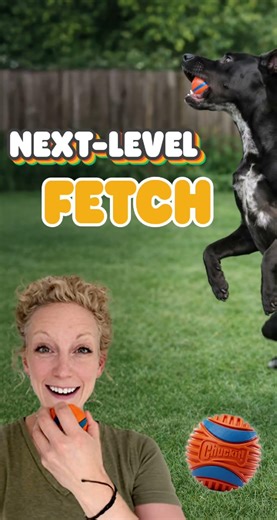 Paw Picks: Chuckit! Balls