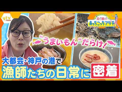 足立アナが漁に挑戦！？ボラに天然アサリ…”うんまいもん”だらけの兵庫漁協を調査【かんさい情報ネットten./あっちこっちアダチ】