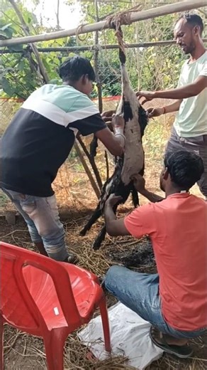 Aaj mutton बन रहा हैं 😋#shorts #video