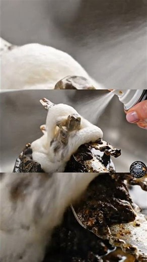 Watch Reactive Foam Dissolve Rust Instantly! ✨ #Restoration #metal #chemistry #shorts