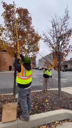 79 reactions · 12 shares | The @cityofowosso Department of Public...