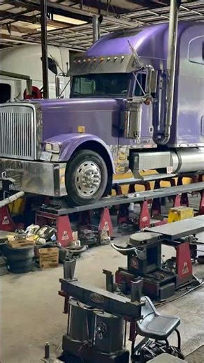 Love my chick #viral #trending #fyp #trucking #freightlinerclassicxl