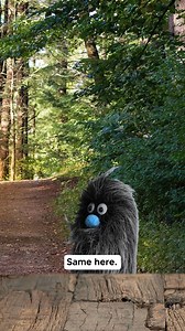 1.1M views · 28K reactions | "English is weird" - Buzzy  . . . Want to learn how to SPEAK English? Download our app, BeeSpeaker, and practice speaking with AI and native speakers. Link in bio. #learnenglish #english #beespeaker | BeeSpeaker - Learn to SPEAK English | Facebook