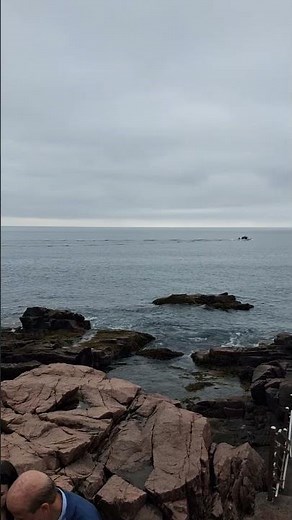 Acadia NP Thunder Hole High Tide June 27 2026 Woody's Magical Scenic Tours of Acadia National Park!