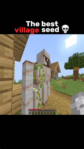 The best village seed 💀 #minecraft