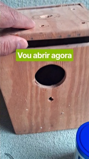 I'm going to open this NEST and hand-feed him [ Budgerigar ] #budgerigar #budgies