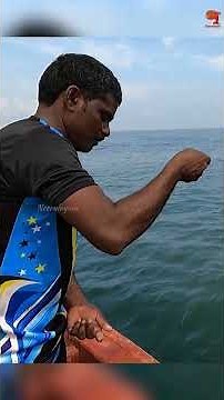 Catching Queen Fish Using Sabiki Rig as Bait #fishing #fishingvideo #fishingtime