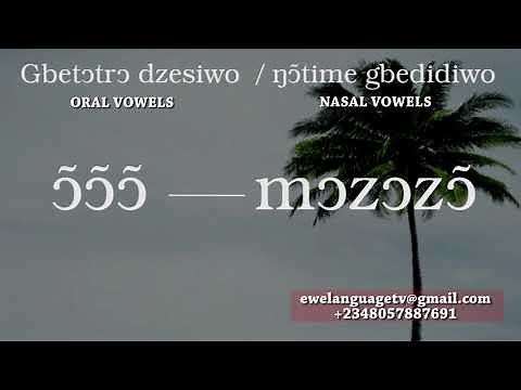 Oral and nasal vowels in ewe language