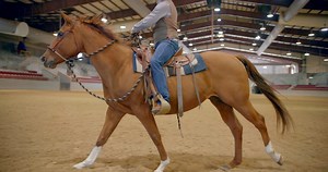 3.7K views · 178 reactions | Start riding bit-less! Grab my...