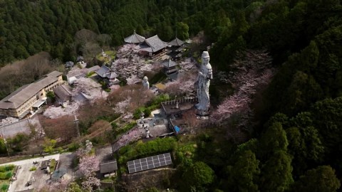 Nara from Above: Stunning Drone Tour of Japan's Heritage - Worldwide