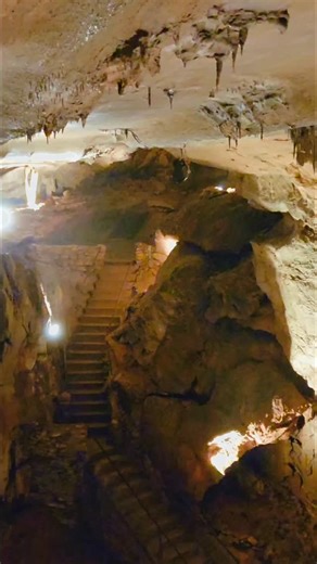 Bristol Caverns | Ever wondered what lives so deep underground that sunlight never reaches them? 🌑 Meet the troglobites - animals that spend their entire... | Instagram