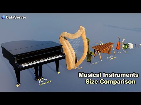 Musical Instruments Size Comparison
