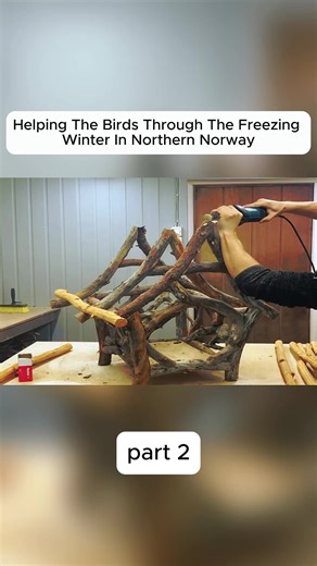 Helping Birds Survive Winter in Northern Norway