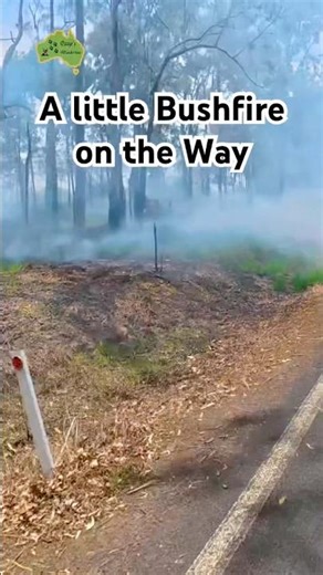 #queensland #monduran #lakemonduran #bushfires #bushfire