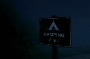 Prehistoric sea monsters.