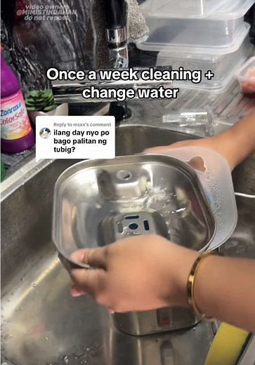 Weekly Cat Water Fountain Maintenance Tips