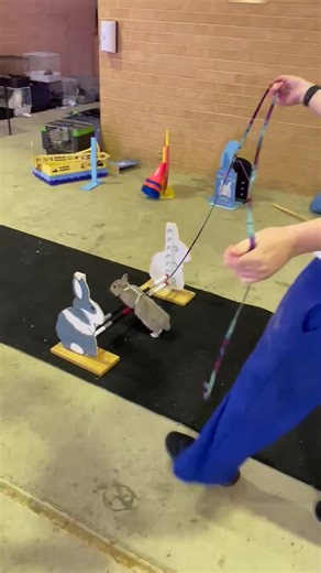 Competencia de Saltos de Conejo: ¡Gran Éxito de Lionel!