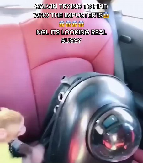 #amogus #amongus #galvinthemonkey #galvin #galvingang #fy #fyp #sus #galvinmonkey #funeemonkeegif #imposter #whentheimposterissus