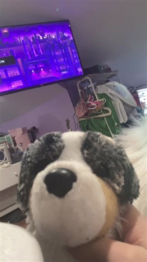 TikTok · Douglas dogs