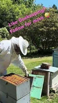 This One Tool Makes Hive Inspections So Much Easier | Beekeeping