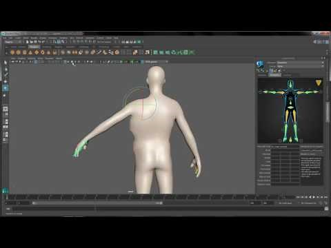 Maya Paint Skin Weights