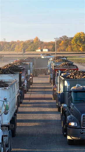 Visit Greater Grand Forks on Instagram: "☀️🌱 // IT’S GO TIME : A very common question we get from visitors is about the crops that they see growing in the fields - the most asked one at the beginning of October is “what are the dirt covered white things being hauled?” These are sugar beets! This time of year you will find lots of trucks hauling sugar beets freshly taken from the field. They are being hauled to American Crystal Sugar Company receiving stations where they are weighed, sampled, an