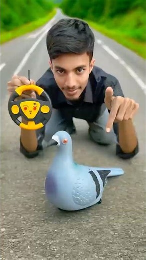 Again Remote Control Wala Toy Pigeon Birds Dise 🔥