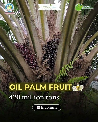Top 10 Crops That Feed the World 🌾 | Global Agriculture & Food System Explained | FSII