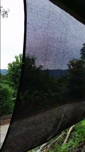 DIY Garden Makeover 🌱 | Simple Landscaping Ideas #nature #naturelovers #travel #garden #diygarden