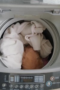 1M views · 58K reactions | Smart Home videos on TikTok be like: Klassy Watches #smarthome #klassywatches | Kanchna Sek - សេក កញ្ចនា | Facebook