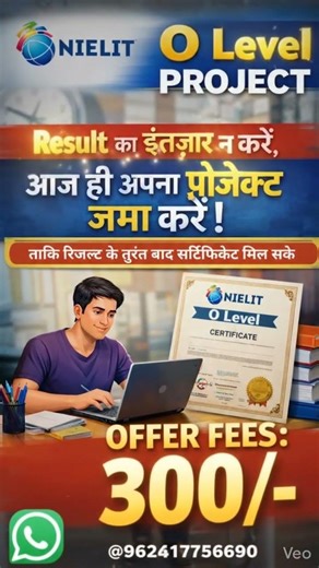 o level project offer