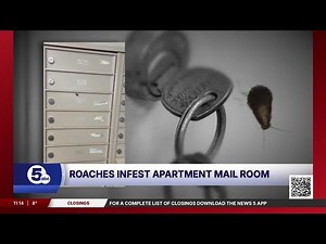 Cockroach infestation at an Akron apartment building leads USPS to suspend mail service