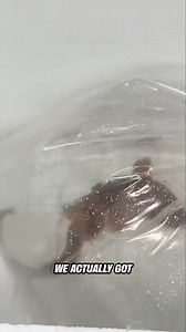 139K views · 1.8K reactions | I ordered a shark from the dark web | Bass Fishing Productions | Facebook