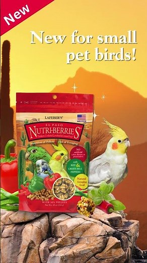New food for small pet birds! El Paso Nutri-Berries